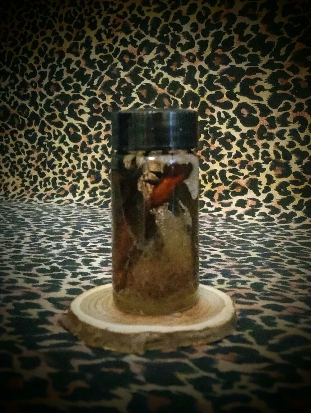 King Solomon ~ Ritual Oil ~ Victory Prestige ~ Witchcraft